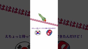 ミサイルを飛ばしまくる北朝鮮#shorts #ポーランドボール