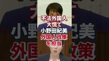 【高市首相 大抜擢】小野田紀美|外国人政策を担当【移民問題|外国人問題】