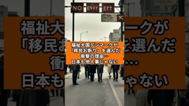 福祉大国デンマークが「移民お断り」を選んだ衝撃の理由…日本も他人事じゃない