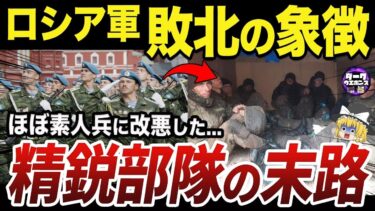 【ゆっくり解説】ロシア軍の第二親衛自動車化狙撃師団の転落の軌跡