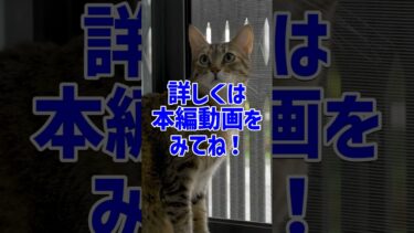 地球の秘密兵器?海底の「サーモスタット」が気候を調整する #地球科学 #気候変動