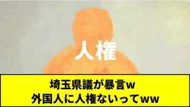 埼玉県議が暴言w   外国人に人権ないってww #Shorts