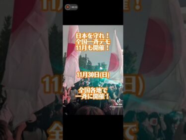 全国一斉🗾移民政策反対/予定地11.30