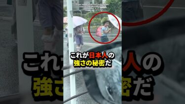 【海外の反応】「これが日本人の強さの秘密か！」嵐の中を歩く小学生に世界が感動！#shorts #海外の反応 #日本称賛 #世界の反応#日本の小学生