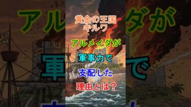 【大航海時代】黄金の王国キルワ、アルメイダが軍事力で支配した理由とは？ #歴史 #世界史 #大航海時代 #ポルトガル #アルメイダ