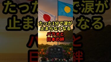 【海外の反応】涙が止まらなくなるパラオと日本の絆に世界が絶句