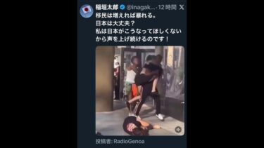 日本に要りません!        #移民問題 #高市早苗 #外国人土地取得問題 #平野雨龍   #私は平野雨龍を応援します