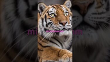 ✌️#animallovers #animallovers #animals #funny #ai #cuteanimals #おもしろ #地球温暖化