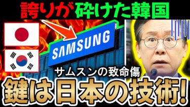 【海外衝撃】韓国「半導体の覇権は我々のもの」→日本「素材と装置を掌握した」→サムスン崩壊の真実
