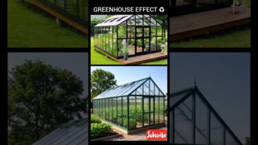 Greenhouse Effect 😯😯 | Global Warming | #shorts #explore
