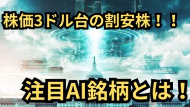 【割安】「世界中の機関投資家が注目！」株価３ドル台の買い時銘柄を徹底解説！（SES）
