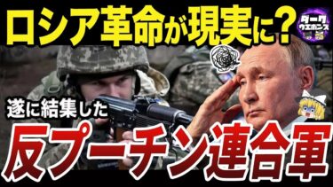 【ゆっくり解説】ロシア人によって結成された反プーチン軍事組織