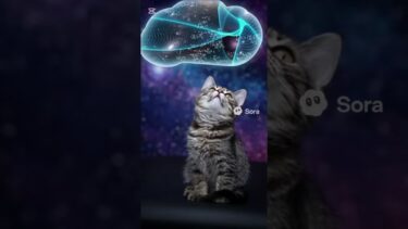 #ネコ #cat 宇宙って巨大な量子コンピュータ？