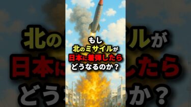 もし北のミサイルが日本に着弾したらどうなるのか？ #海外の反応