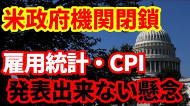 【米国経済】政府機関閉鎖！プロレスだが軽視してはいけない！経済指標は公表できない！過去の比較と経済への影響！