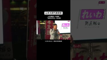 30年衰退した経済世界の中心は幻想　#山本太郎 #れいわ新選組 #神奈川