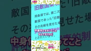日本の安全保障と旧敵国条項　 #れいわ新選組 #山本太郎 #安全保障