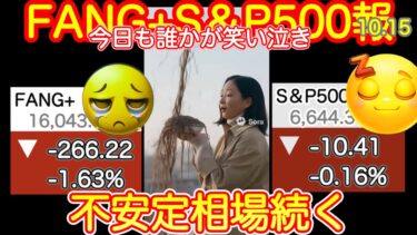 【不安定！ボラー】激しい相場が続く。半導体はへとへとエヌビディアやられる、FANG+もベトベト。ゴールドだけは金ピカ【米国株ニュース、新NISA攻略！FANG+S&P500=❤️】