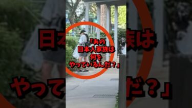 シンガポールが震えた日本人家族#海外の反応 #海外 #shorts