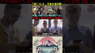 【海外の反応】「日本の電車が通らない駅が最高!!」ついに外国人に道の駅がバレた!!異世界レベルに世界がざわつく【日本称賛】