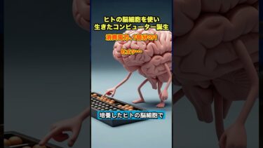 【SFの世界】「生きた脳みそ」でコンピューターを開発中！AIを超える「オルガノイド知能」のヤバい未来 #バイオコンピューター #AI #脳オルガノイド #倫理