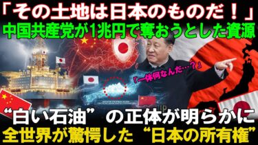 【海外の反応】「その土地は日本のものだ！」中国共産党が“1兆円で奪おうとした資源”の正体世界が驚愕した“日本の所有権”とは？