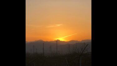 #0277 暖かい3月に気候変動を想う