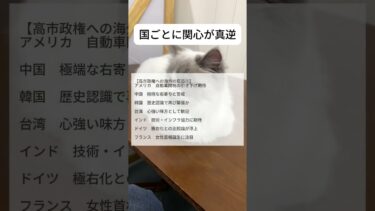 今後に期待　#海外の反応 #日本 #japan #shorts #高市早苗 #政権交代
