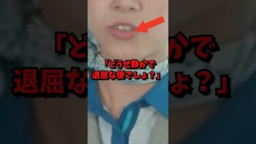 イギリスCAが日本便を見下した結果#海外の反応 #海外 #shorts
