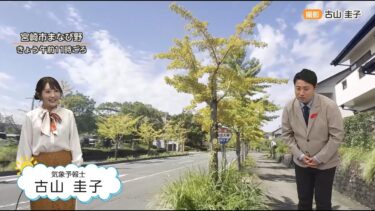 「イチョウが語る異常気象」宮崎で9月平均気温27.8℃！3年連続で過去最高を更新　ただ今年の冬は「暖冬ではない」　気象予報士が解説