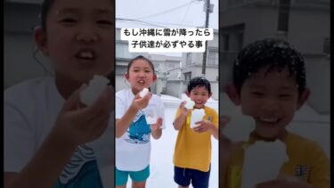 異常気象で沖縄に雪が降ったら？