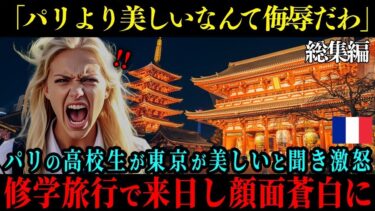 【海外の反応】「日本がパリより美しいなんてありえない」最も美しい都市ランキング首位のパリの高校生が日本が美しいという声に激怒、修学旅行で来日し顔面蒼白に【総集編】