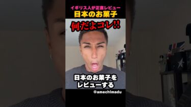 日本のお菓子を正直レビュー