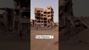 free Palestine 🥹 #freepalestine #gaza #shorts