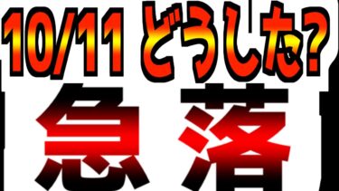 【10/11(土)米国市場速報】【急落】株が急落した理由がとんでもない