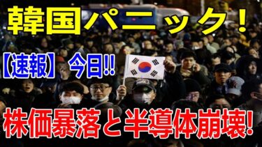 【緊急配信】 韓国市場パニック！株価暴落と半導体崩壊で国民絶望！