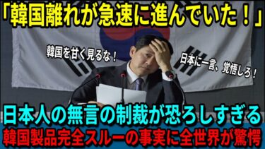 【海外の反応】「日本人の制裁が静かすぎて怖い！」今、日本で“韓国離れ”が加速中！韓国製品も旅行も完全スルーする日本の無言の制裁に全世界が震撼！【日本賞賛】