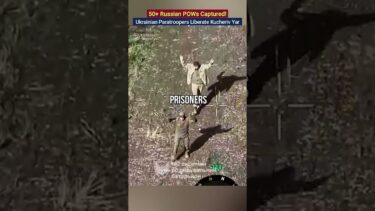 50+ Russian Soldiers Captured by Ukraine’s Elite Troops #UkraineWar #POW