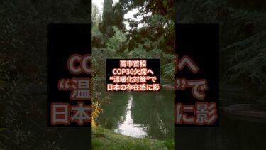 【物議】高市首相、COP30欠席へ　“温暖化対策”で日本の存在感に影 #shorts #高市首相 #COP30 #地球温暖化 #気候変動 #環境政策 #外交