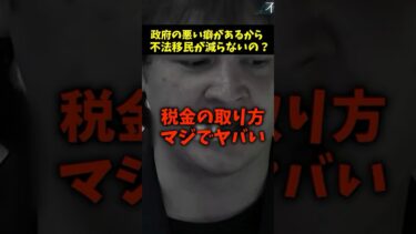 不法移民が増えているのは国の責任？#移民問題 #政治 #税金