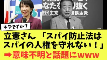 【衝撃】立憲さん、スパイの人権が侵害されるかもしれないからスパイ防止法に反対と謎の主張をしてしまう…