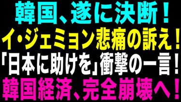 【海外の反応】イ・ジェミョンついに決断!大統領「日本に助けを」発言で波紋拡大、ソウル騒然の緊急展開！【ゆっくり解説】