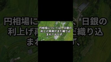「世界のインフレは減速」も、日本には「利上げ」の重圧が続くか？ #ニュース #news#インフレ#利上げ#日銀#トレンド