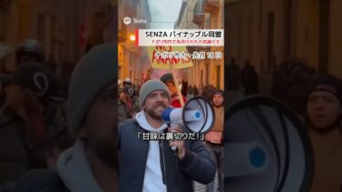 ナポリピザ・パイナップル危機 ― 分断する街、揺れる伝統【UNN国際ニュースUSO】#UNN国際ニュース #ナポリ #ピザ #パイナップル論争