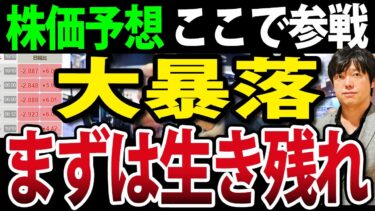 日本株・米国株・ビットコインまで大幅下落、生き残れ！