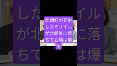 #北朝鮮 #ミサイル