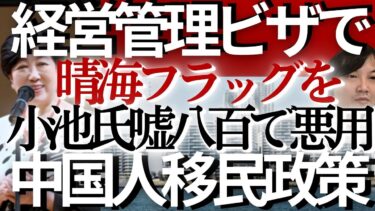 😡【すでに東京で中国人移民政策始まってた💢】小池都知事により晴海フラッグの25%を外国人が購入→経営管理ビザ→永住権→参政権獲得🔥20年後には中国系議員誕生？1770億円で国を売った❓【全真実暴露】🔥