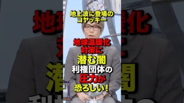 【コヤッキー】地球温暖化対策に潜む闇  利権団体の圧力が恐ろしい!#コヤッキー #地球温暖化 #地球温暖化対策#利権 #都市伝説#角由紀子 #鳩山由紀夫 #炎上