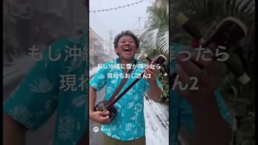 異常気象で沖縄に雪が降ったら現れるおじさん2
