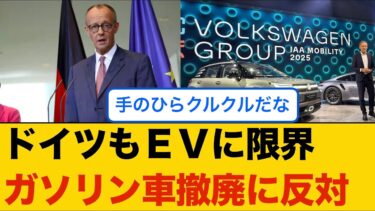 【もう限界…】自動車大国ドイツでEVシフトが失速!?メルツ首相がガソリン車の撤廃に反対…に対するみんなの反応